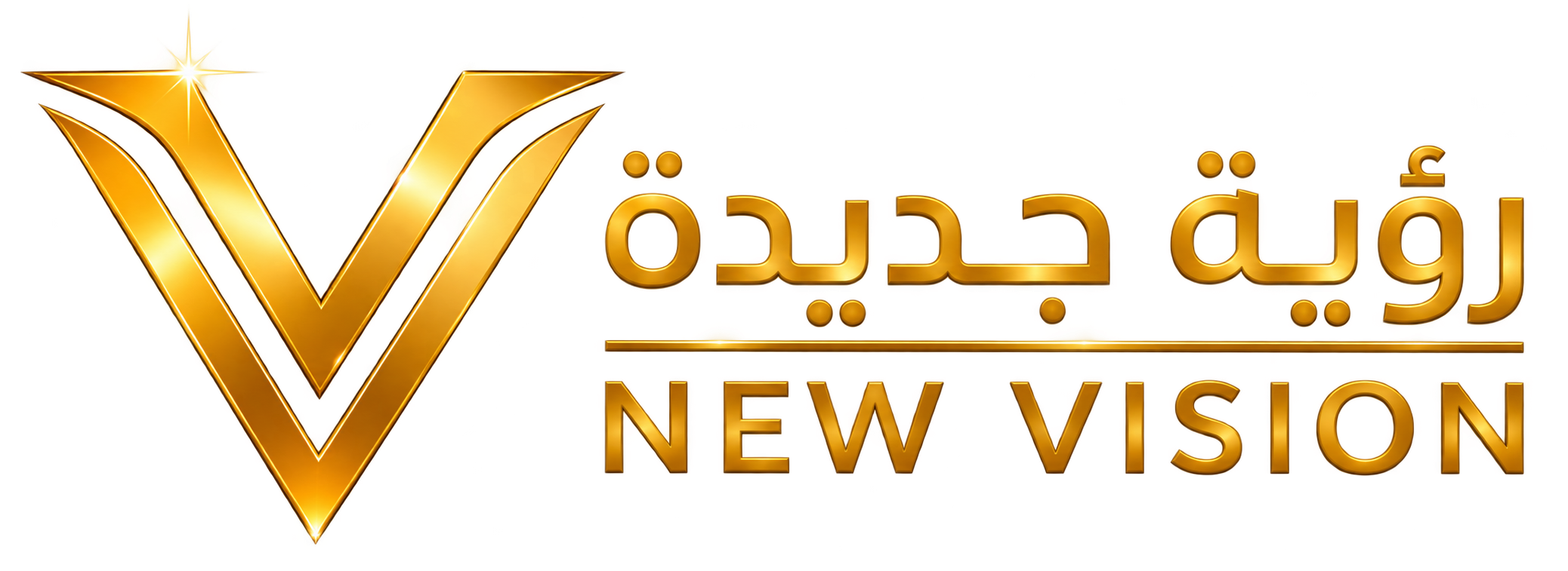 New Vision Logo
